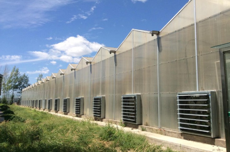 Solar panel greenhouse